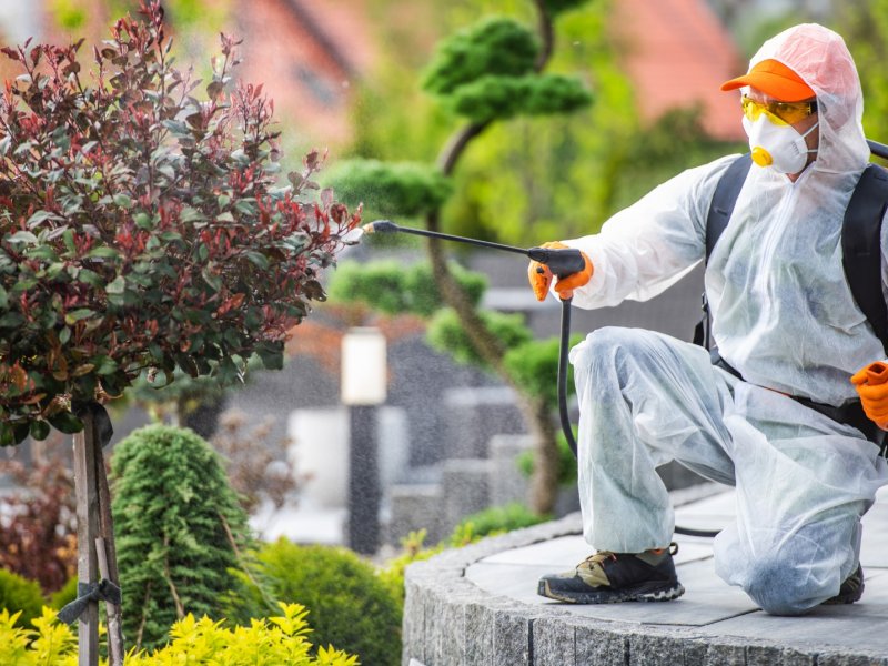 Süleymanpaşa Haşere İlaçlama